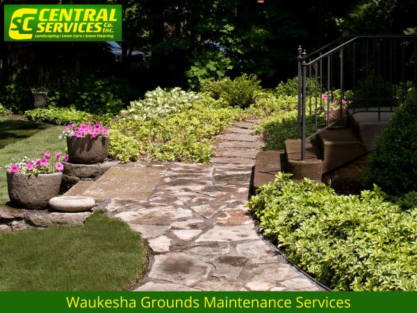 Central Services Co. Inc.