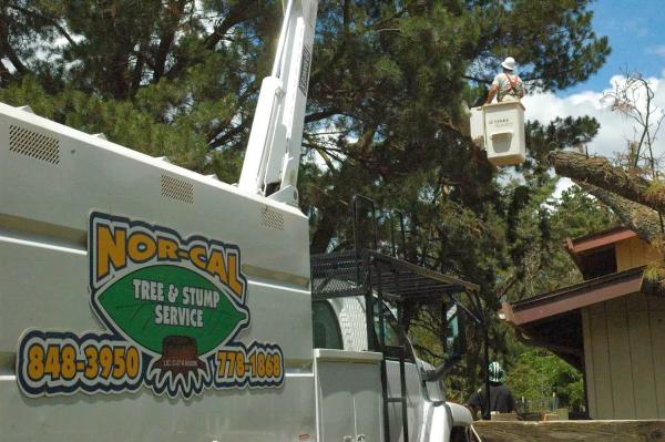 Nor-Cal Tree & Stump Services