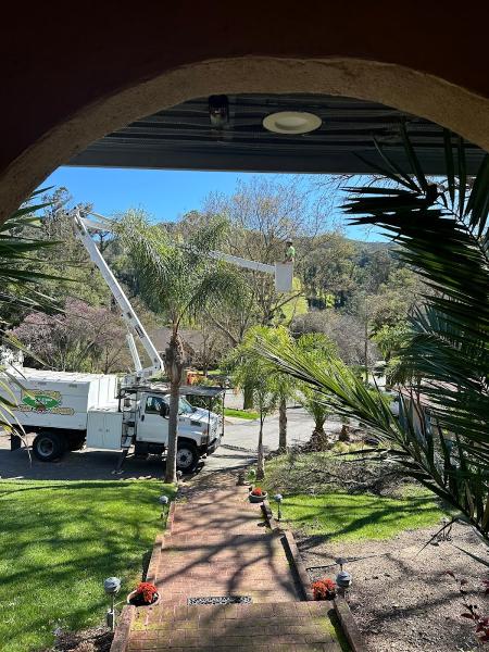 Nor-Cal Tree & Stump Services