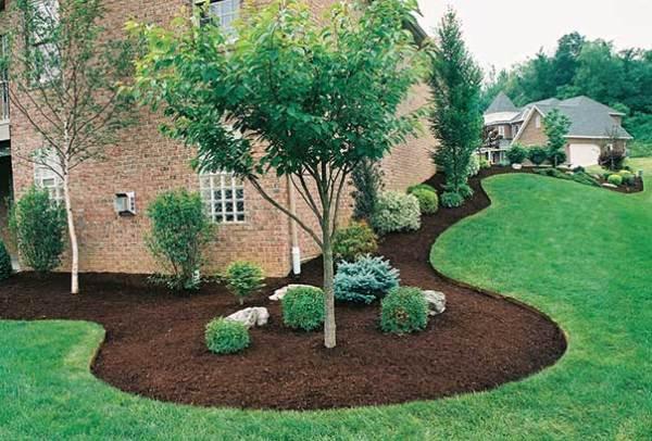 Lawn Care Plus