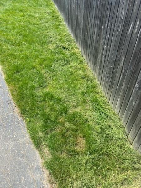 Mowgreen LLC