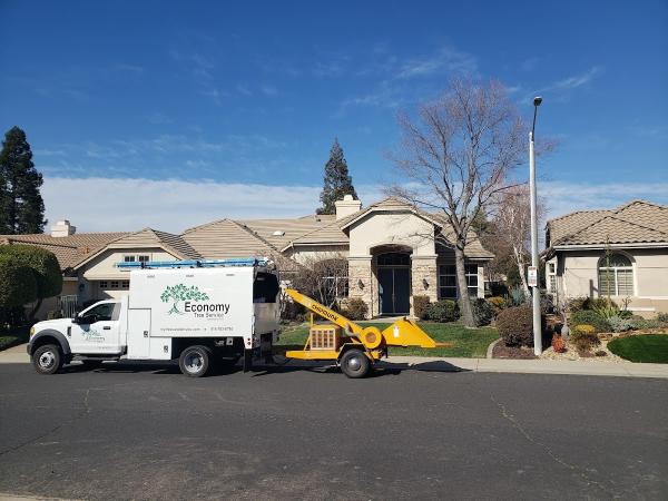 Economy Tree Service Inc
