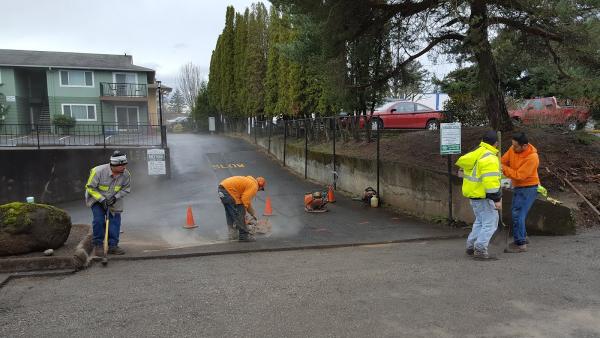 Checkered Flag Asphalt Paving & Sealcoating LLC