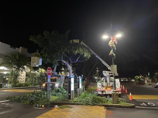 Tahitian Tree Services Inc
