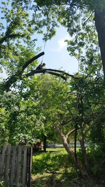 Good Earth Tree Care LLC