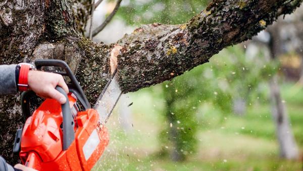 St John Tree Care Inc