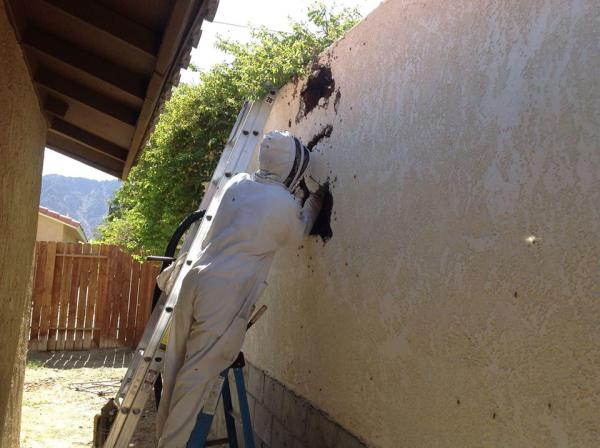 Killer Bee Pest Control Inc.