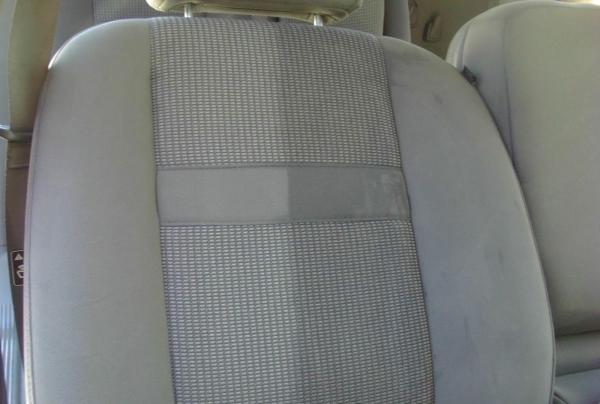 Germ Warfare Carpet and Upholstery Cleaning