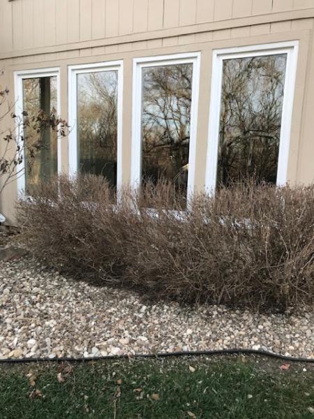 Energy Pro Windows & Siding