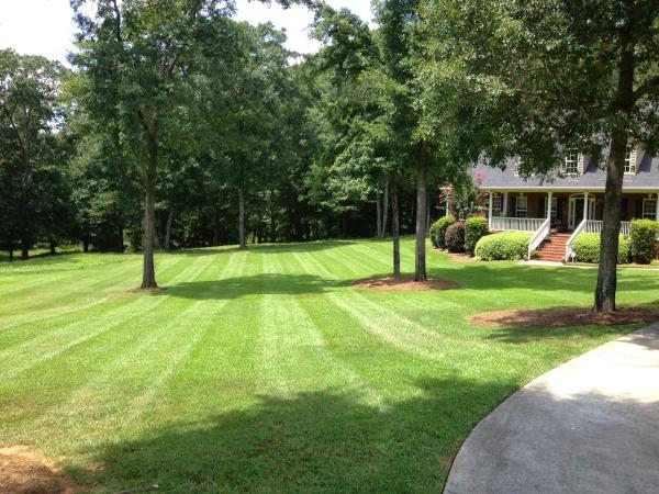 Parker Landscape Management