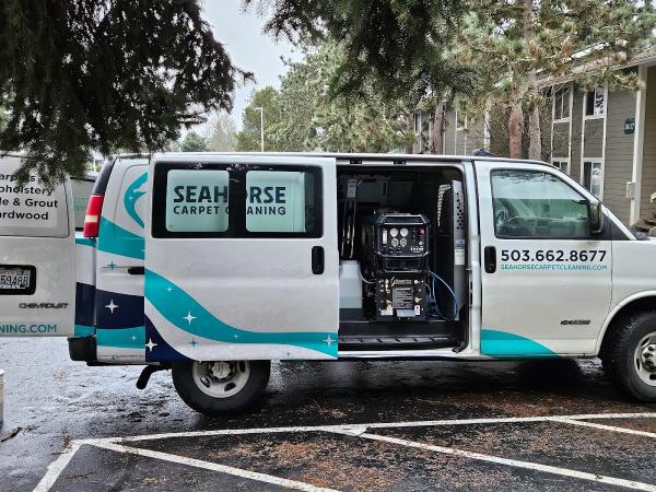 Seahorse Carpet Cleaning