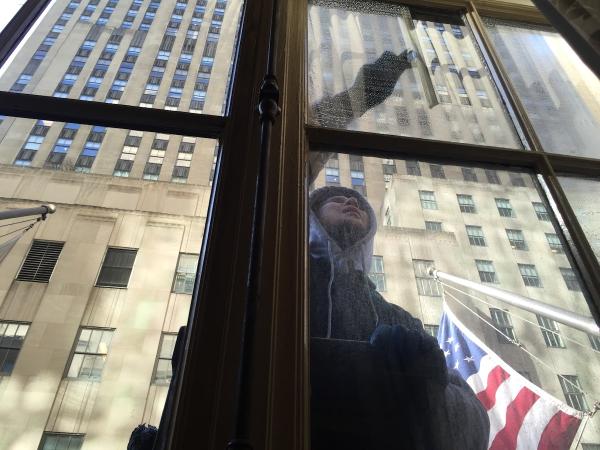 Bohemia Window Cleaning