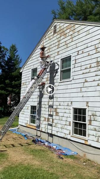 Real Painting & Home Improvement