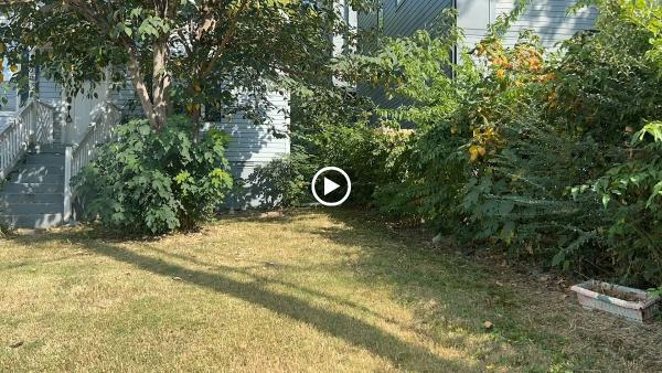 Bellevue Lawn and Landscaping