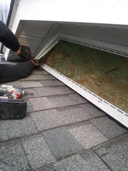 Star Pest Control