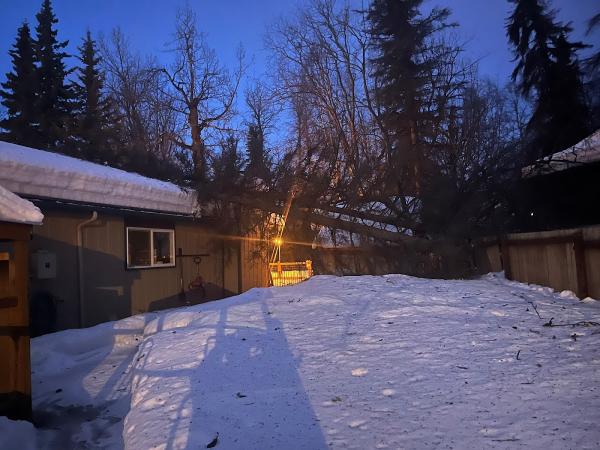 Eagle River Tree Service