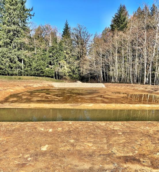 Justice Llc—land Clearing-Logging-Excavating