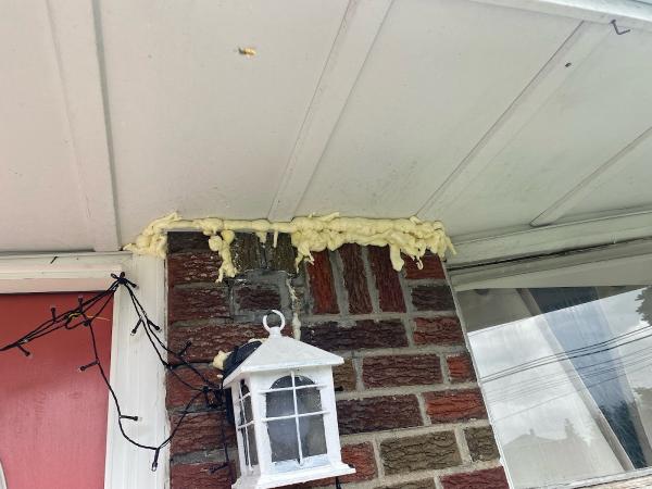 Silver Bullet Pest Control