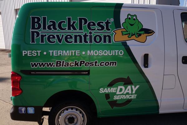 Black Pest Prevention