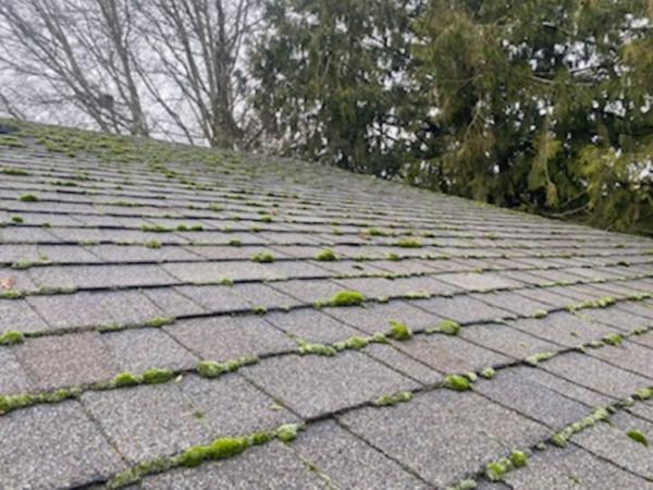 Crystal Clear Window and Gutter Cleaning