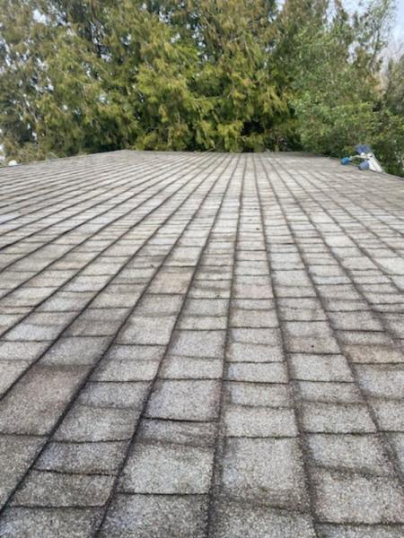 Crystal Clear Window and Gutter Cleaning