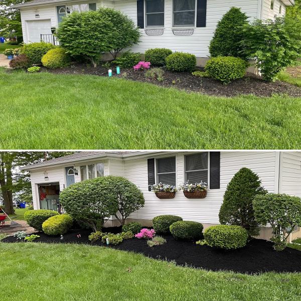 Evergreen Landscaping
