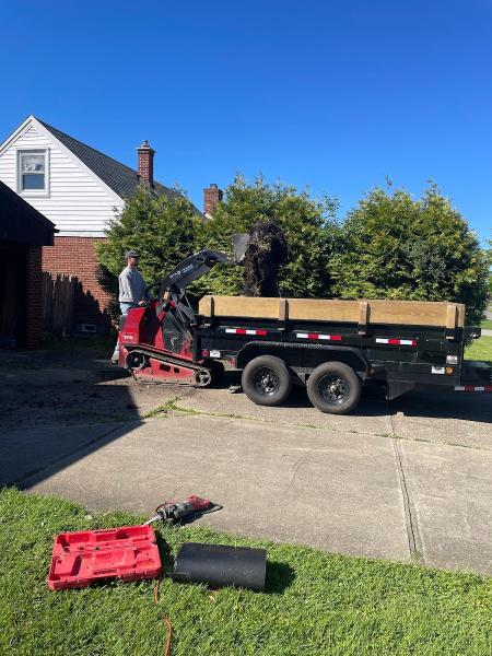 Evergreen Landscaping
