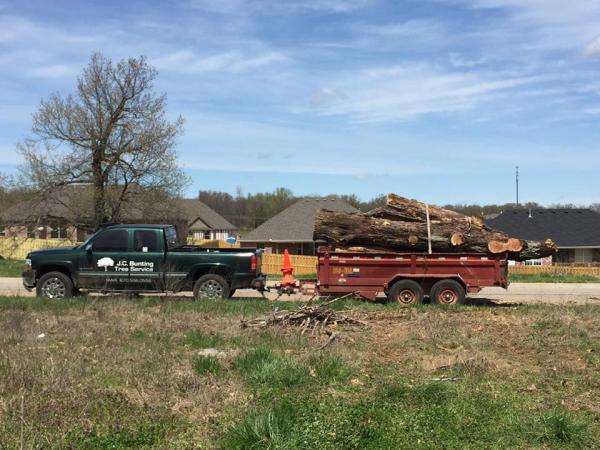 J.C. Bunting Tree Service