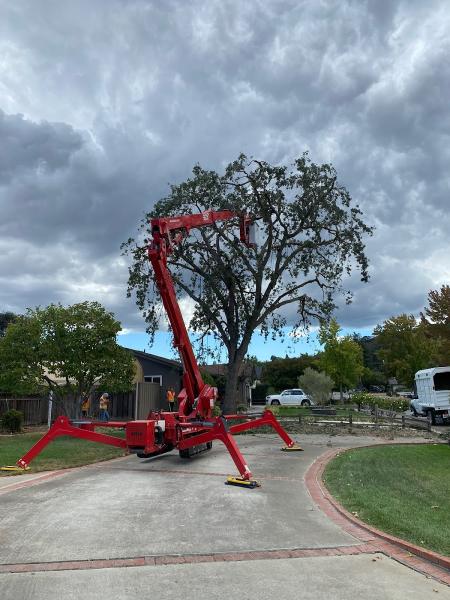 ABC Tree Service