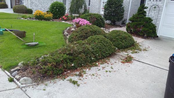1UP Lawn Care