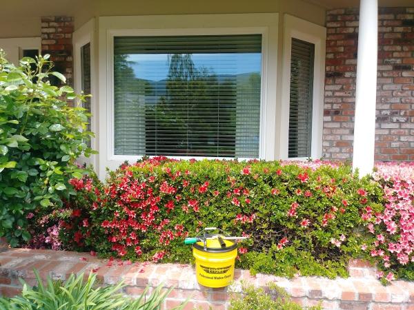 Super View Window Washing