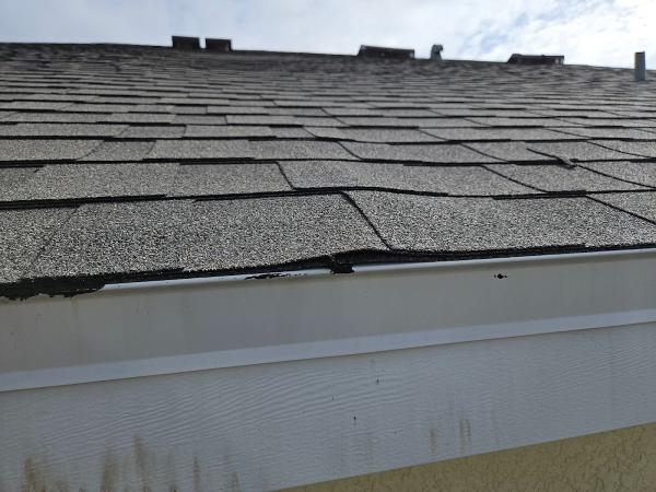 Healthy Home Inspections