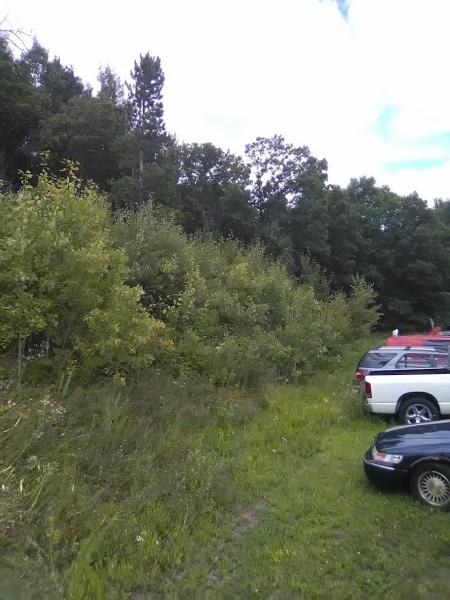 Greener Pastures Tree Service