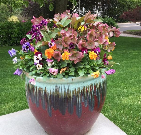 Legarden Designs