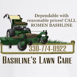 Bashline's Handyman & Lawn Services