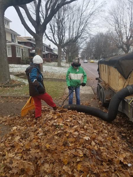 Howard and Sons Lawn Care