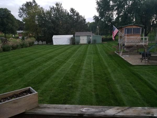 Howard and Sons Lawn Care