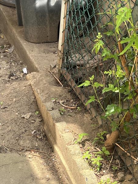 Newark Exterminator Last Stop Pest Control