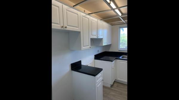 AVR Painting Services