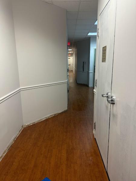 AVR Painting Services