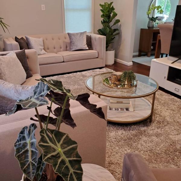 Sato's Services Painting and Cleaning