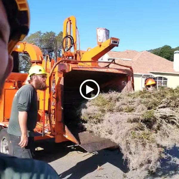Mikey's Tree Service