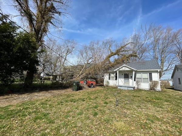 L&L Tree Removal