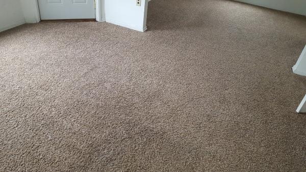 J&V Steam Carpet Cleaning LLC