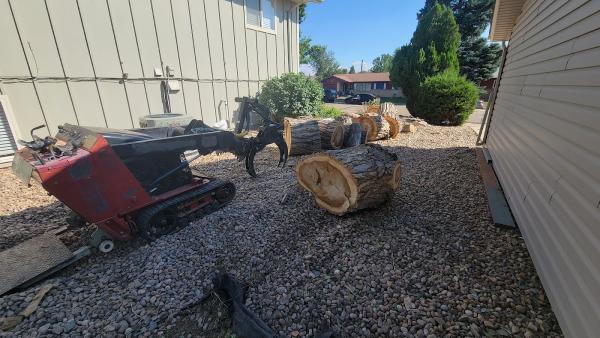 Front Range Forestry Services
