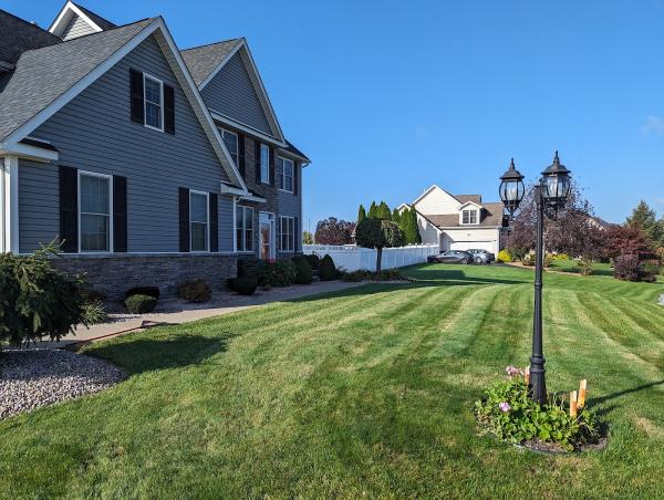 Smile Lawn Care & Landscapers