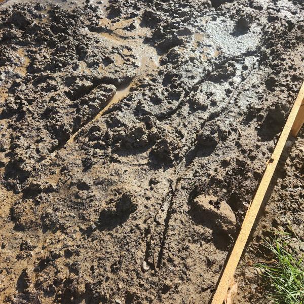 Ri-Mor Mulch