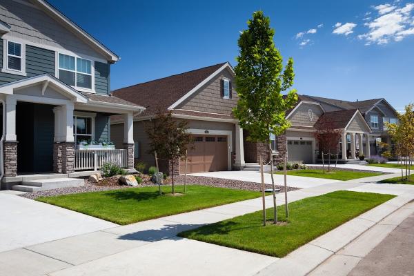 Thrive Lawn Solutions Inc
