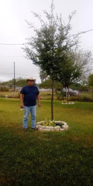 Serna Lawn Care