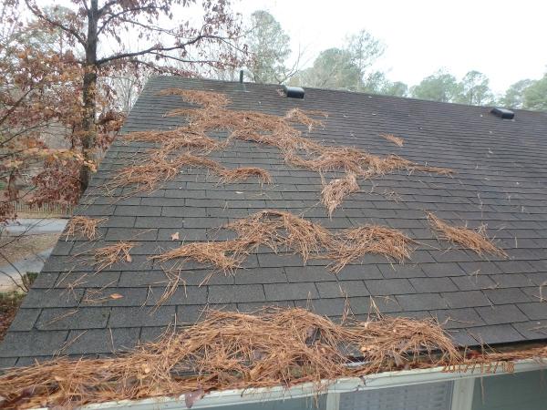 Blueprint Home Inspection